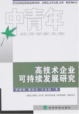 高技术企业可持续发展研究 pdf epub mobi 电子书 下载