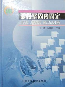 颌骨坚固内固定 pdf epub mobi 电子书 下载