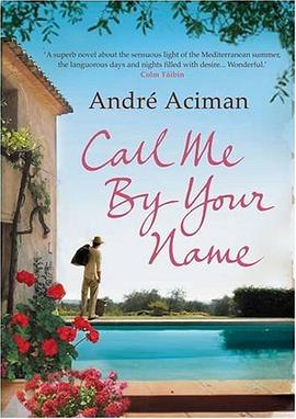 Call Me by Your Name pdf epub mobi 下载