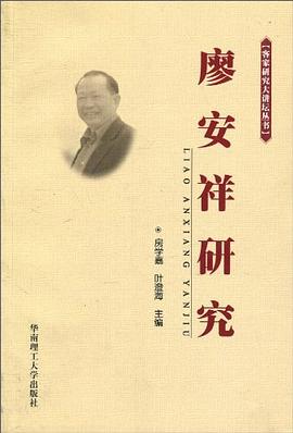 廖安祥研究 pdf epub mobi 电子书 下载