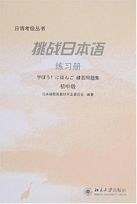 挑战日本语练习册（初中级）