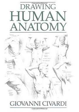 Drawing Human Anatomy pdf epub mobi 电子书 下载