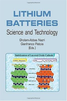 Lithium Batteries pdf epub mobi 电子书 下载