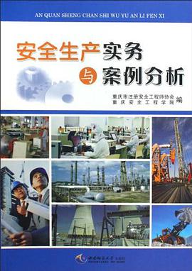 安全生产实务与案例分析 pdf epub mobi 下载