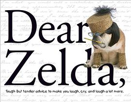 Dear Zelda pdf epub mobi 电子书 下载