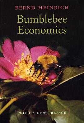 Bumblebee Economics pdf epub mobi 电子书 下载