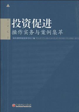 投资促进 pdf epub mobi 下载