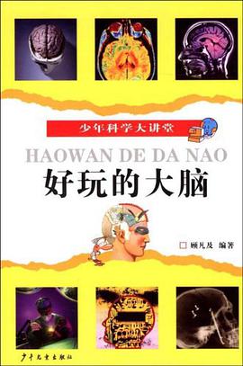 好玩的大脑 pdf epub mobi 电子书 下载