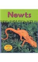 Newts pdf epub mobi 电子书 下载