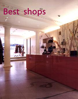 BEST SHOPS最佳店面 pdf epub mobi 下载