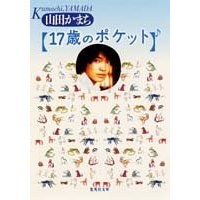 17歳のポケット pdf epub mobi 电子书 下载