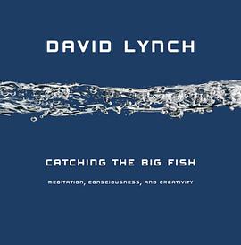 Catching the Big Fish pdf epub mobi 电子书 下载