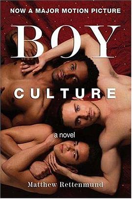 Boy Culture pdf epub mobi 电子书 下载