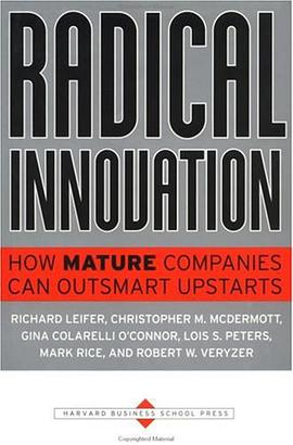 Radical Innovation pdf epub mobi 电子书 下载