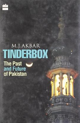 Tinderbox pdf epub mobi 电子书 下载