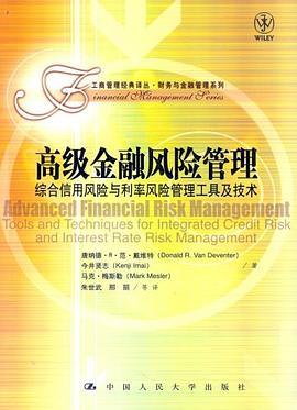 高级金融风险管理 pdf epub mobi 电子书 下载