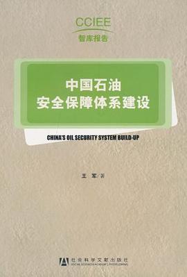 中國石油安全保障體係建設 pdf epub mobi 電子書 下載