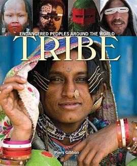 Tribe pdf epub mobi 电子书 下载