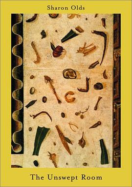 The Unswept Room pdf epub mobi 电子书 下载