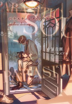 パラスティック・ソウル endless destiny pdf epub mobi 电子书 下载