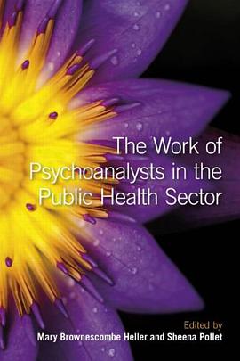 The Work of Psychoanalysts in the Public Health Sector pdf epub mobi 电子书 下载