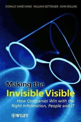 Making the Invisible Visible pdf epub mobi 电子书 下载