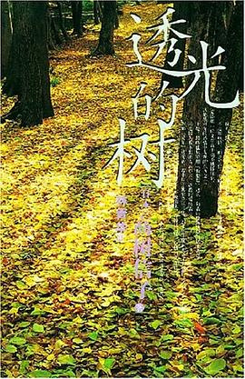 透光的树 pdf epub mobi 电子书 下载