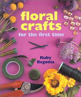 Floral Crafts For The First Time pdf epub mobi 电子书 下载
