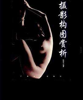 摄影构图赏析 pdf epub mobi 电子书 下载