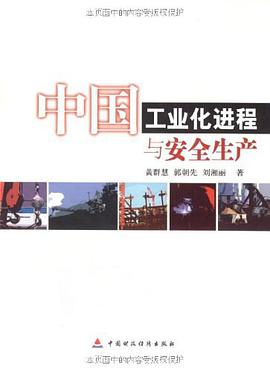 中国工业化进程与安全生产 pdf epub mobi 电子书 下载