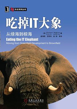 吃掉IT大象 pdf epub mobi 电子书 下载