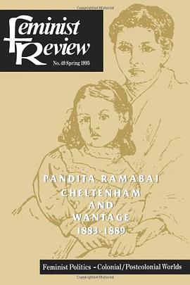 Feminist Review pdf epub mobi 电子书 下载