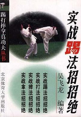 实战踢法招招绝 pdf epub mobi 电子书 下载