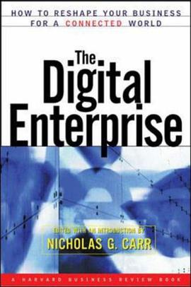 Digital Enterprise pdf epub mobi 电子书 下载