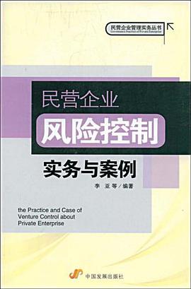 民营企业风险控制实务与案例 pdf epub mobi 电子书 下载