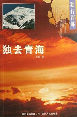 独去青海 pdf epub mobi 电子书 下载
