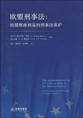 欧盟刑事法 pdf epub mobi 电子书 下载