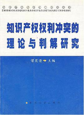 知识产权权利冲突的理论与判解研究 pdf epub mobi 电子书 下载