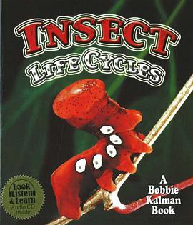 Insect Life Cycles