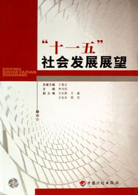 十一五社会发展展望 pdf epub mobi 电子书 下载