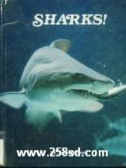 Sharks! pdf epub mobi 电子书 下载