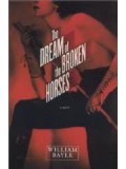 The Dream of the Broken Horses pdf epub mobi 电子书 下载