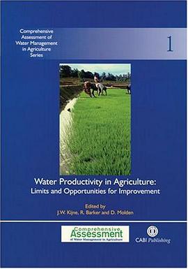 Water Productivity in Agriculture pdf epub mobi 电子书 下载