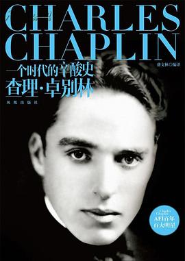 一个时代的辛酸史 pdf epub mobi 电子书 下载