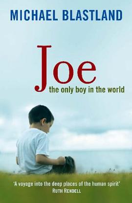 Joe pdf epub mobi 电子书 下载