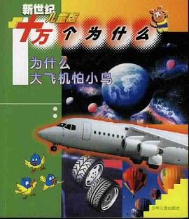为什么大飞机怕小鸟 pdf epub mobi 电子书 下载