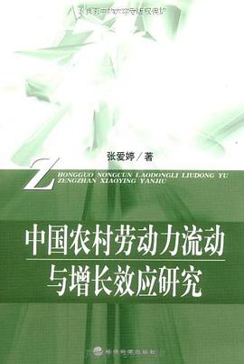 中国农村劳动力流动与增长效应研究 pdf epub mobi 电子书 下载