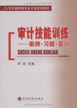审计技能训练 pdf epub mobi 电子书 下载