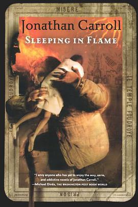 Sleeping in Flame pdf epub mobi 电子书 下载