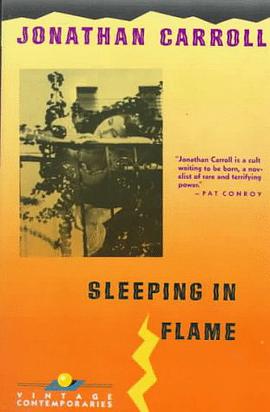 Sleeping in Flame pdf epub mobi 电子书 下载
